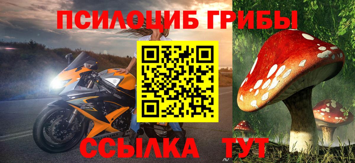 Сыктывкар  Галлюциногенные грибы GOLDEN TEACHER  Вход с VPN 