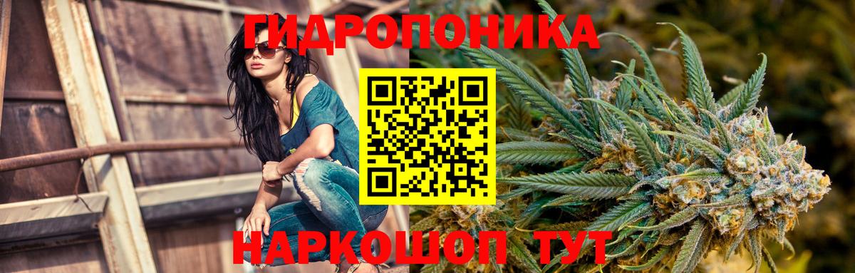 Бошки Шишки гибрид  Бошки марихуана Bruce Banner  Вход с VPN  Бошки Шишки марихуана  Сыктывкар 
